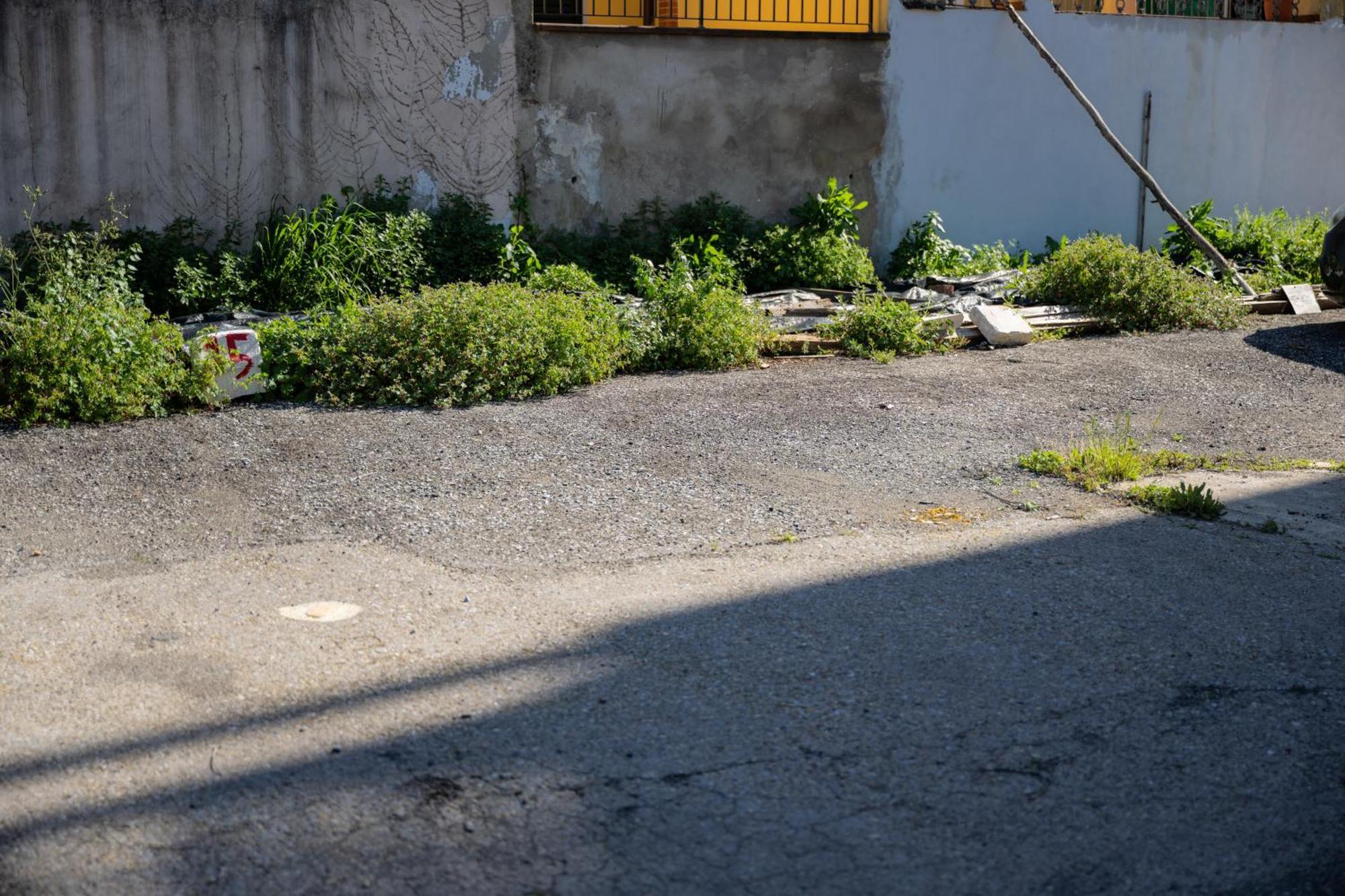 Tipica Cozy House + Parking! Apartment Florence Luaran gambar